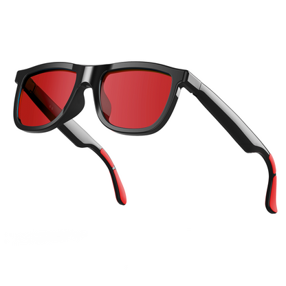 Rollme EchoView Smart Glasses with Electrochromic and Al Translation