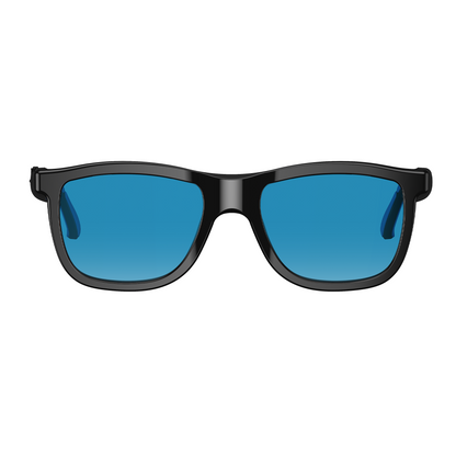 Rollme EchoView Smart Glasses with Electrochromic and Al Translation
