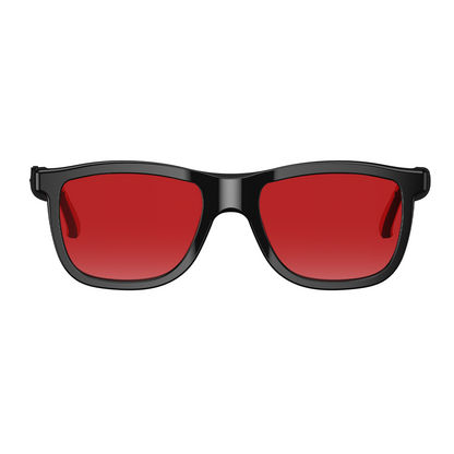 Rollme EchoView Smart Glasses with Electrochromic and Al Translation