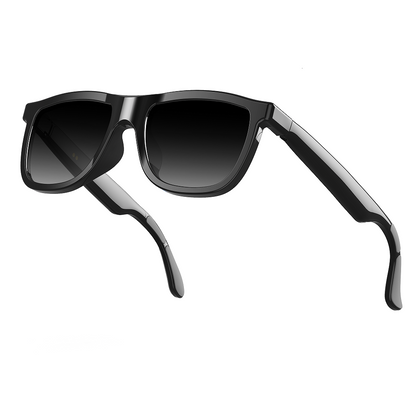 Rollme EchoView Smart Glasses with Electrochromic and Al Translation