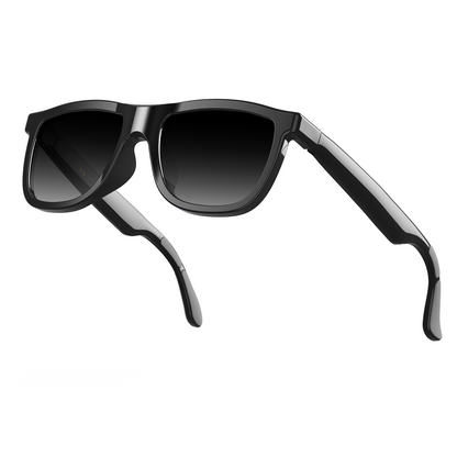 Rollme EchoView Smart Glasses with Electrochromic and Al Translation